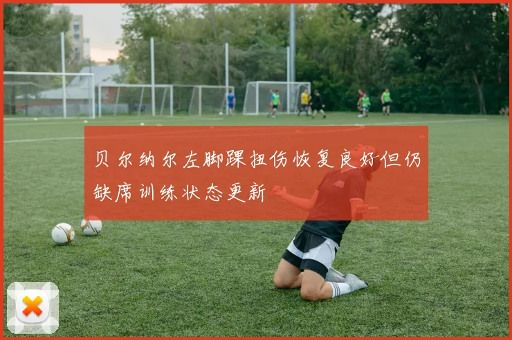 贝尔纳尔左脚踝扭伤恢复良好但仍缺席训练状态更新